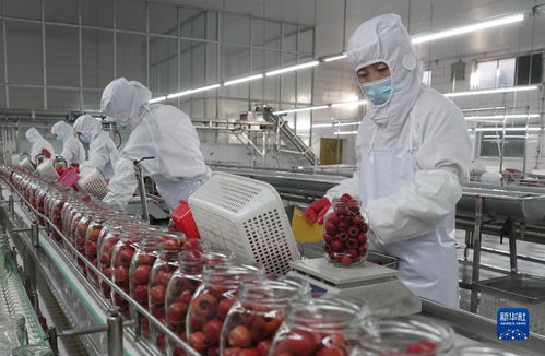 河北遵化 山楂產(chǎn)業(yè)生態(tài)富農(nóng)