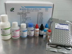 人羥脯氨酸糖蛋白 hrgp elisa試劑盒