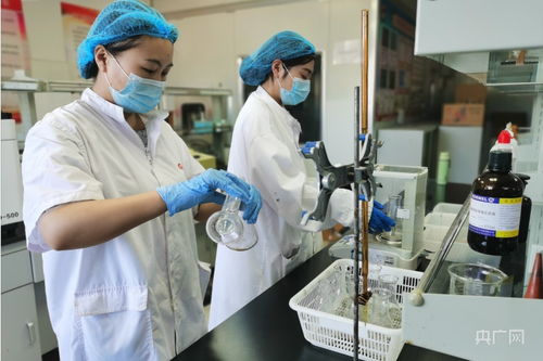 探訪 走進(jìn)大連預(yù)制菜生產(chǎn)示范推廣基地 央廣網(wǎng)