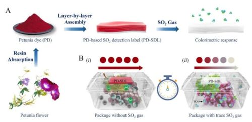 天津科技大學(xué)團(tuán)隊(duì)研制so2比色檢測(cè)標(biāo)簽,助力破解微生物侵染食物難題