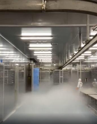 探廠國內(nèi)寵物食品凍干廠 國產(chǎn)凍干品質(zhì)如何，L-羥脯氨酸生產(chǎn)的關(guān)鍵作用